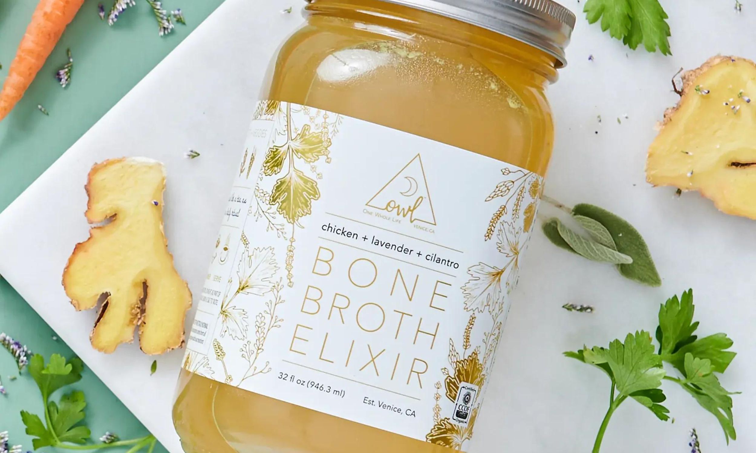 OWL Venice owl-venice