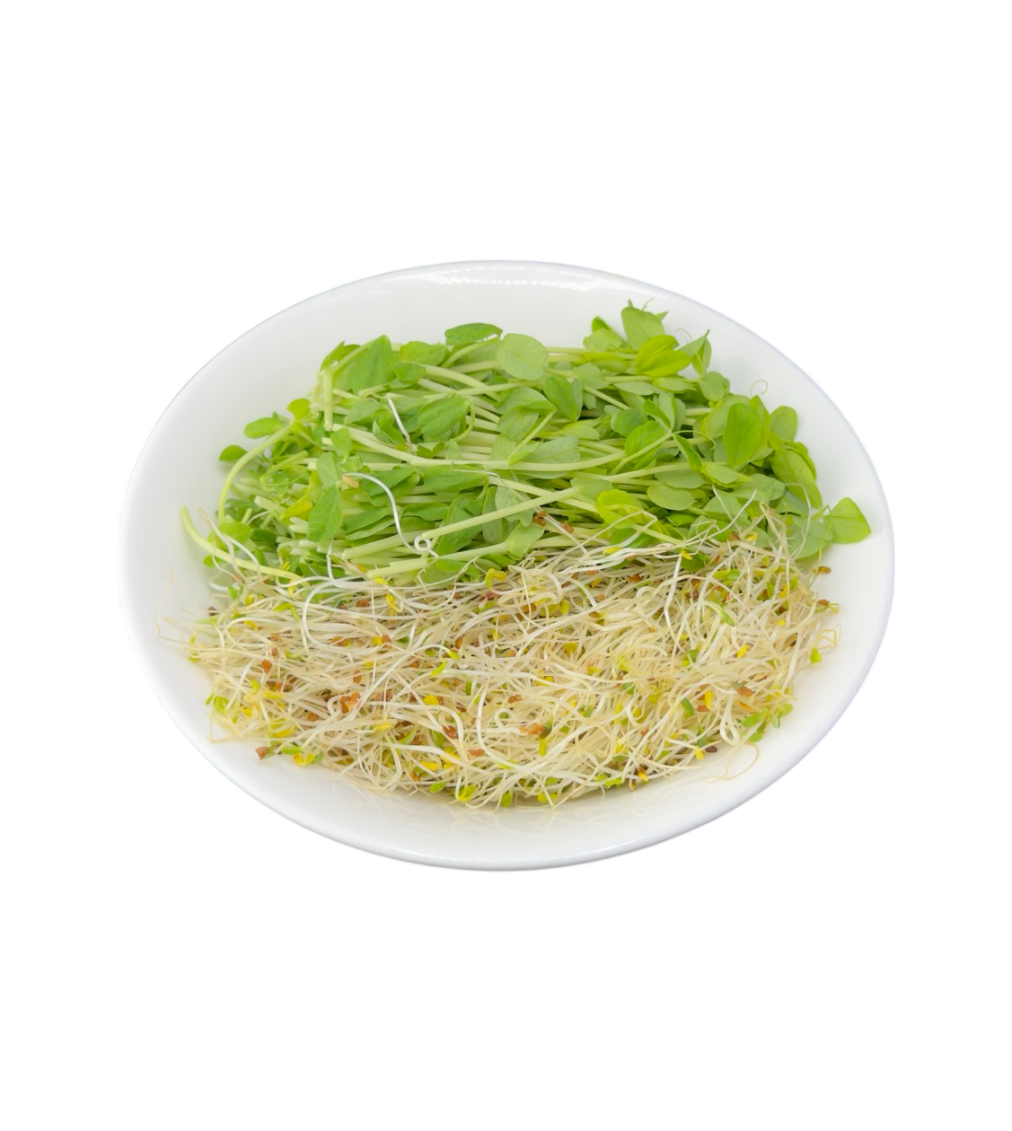 Organic Sprouts Mix at Happier Grocery