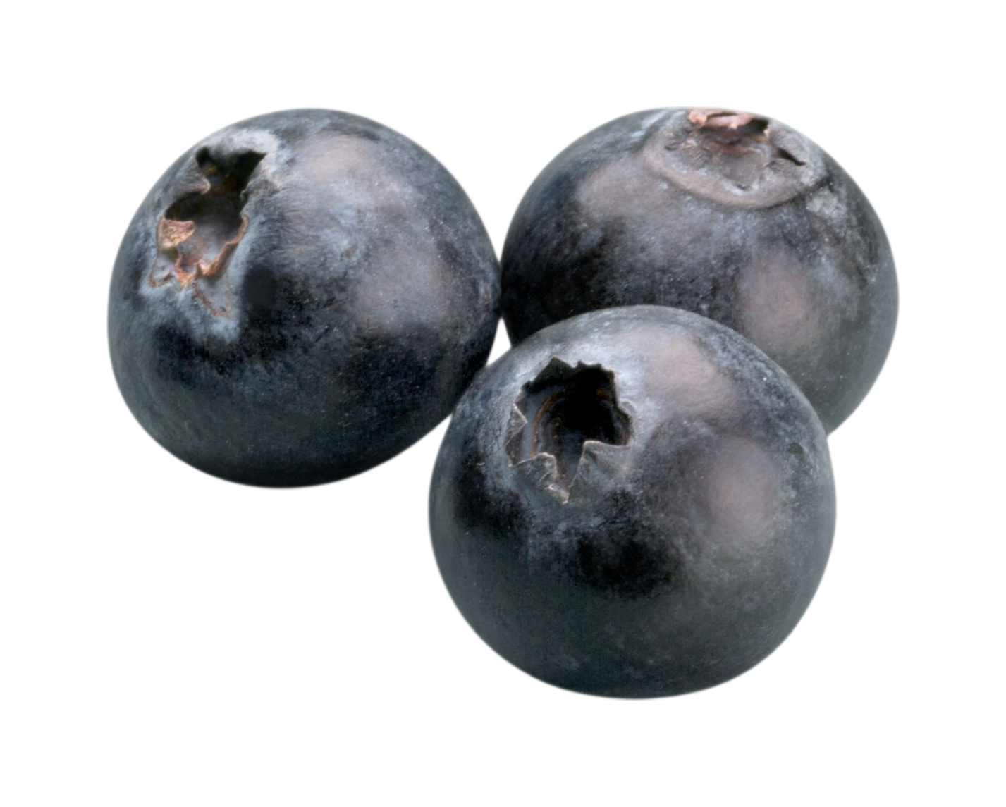Organic Blueberries - Pint at Happier Grocery