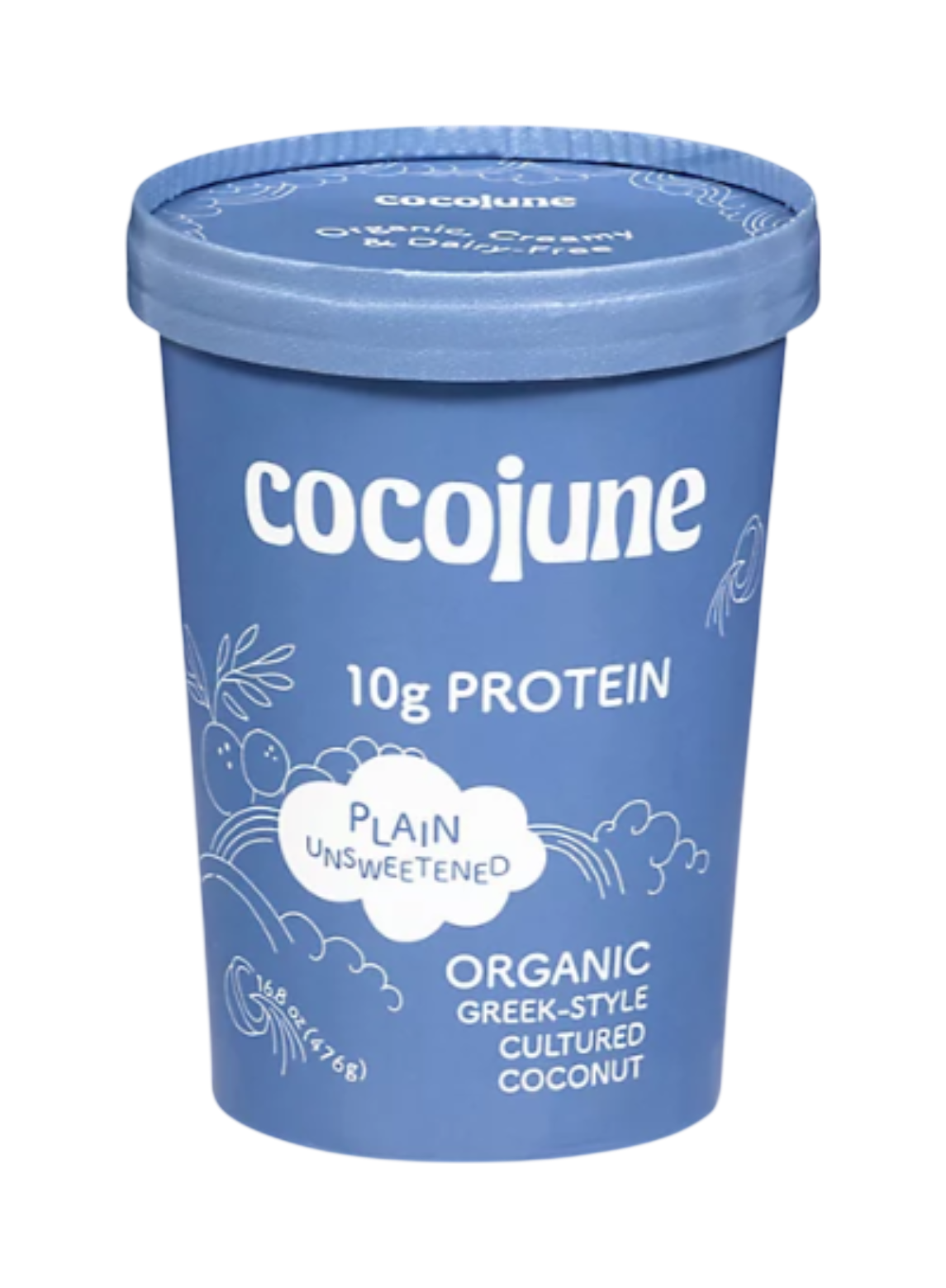 Protein Yogurt Plain Unsweetened 16.8oz